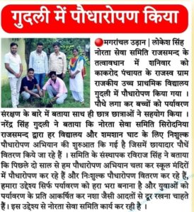 Reports- noratasevasaniti